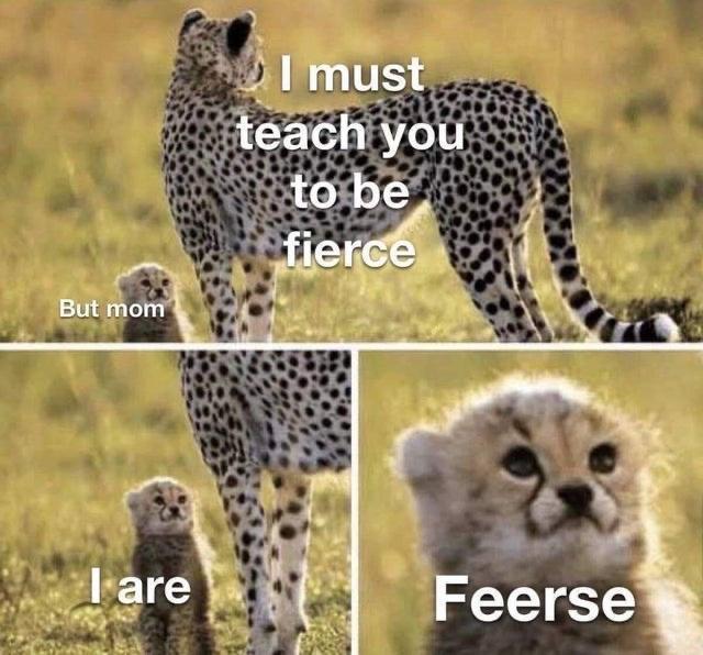 feerse